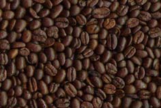 Coffee Roasted Fresh Daily