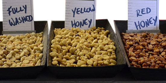 Honey Coffee