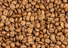 Explore Coffee