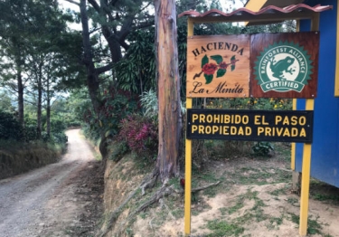 Costa Rica La Minita Tarrazu