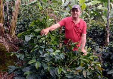 Costa Rica Don Oscar 1800 Tarrazu Microlot
