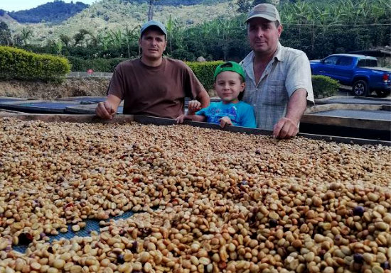 Costa Rica Don Oscar 1800 Tarrazu Microlot