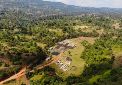 Ethiopia Hamasho Natural Grade 1