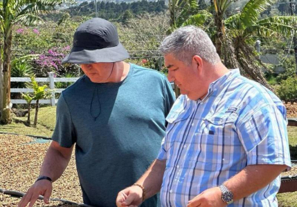 Costa Rica Brumas Villa Sarchi