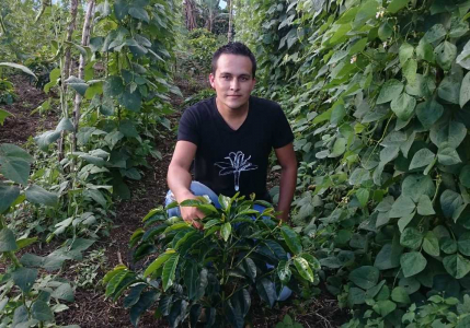 Colombia Finca Las Brisas Pink Bourbon Natural