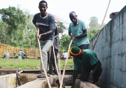 Ethiopia Yrgacheffe Naga Singage Grade 1