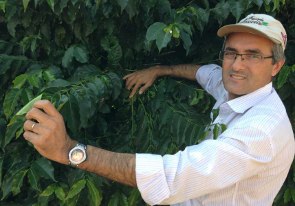 Brazil Fazenda Passeio Natural