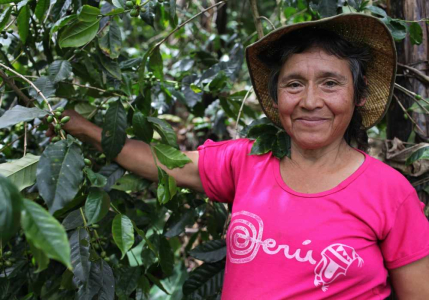 Peru Fair Trade Organic