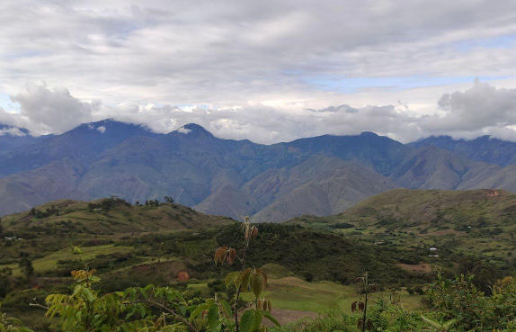 Peru Queromarca Microlot