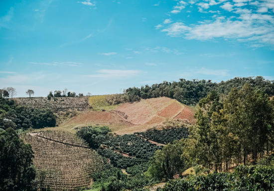 Brazil Sitio Colina Natural