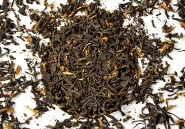 Assam Hajua Garden STGFOPS
