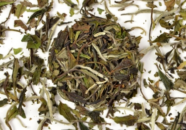 White Tea - Bai Mu Dan
