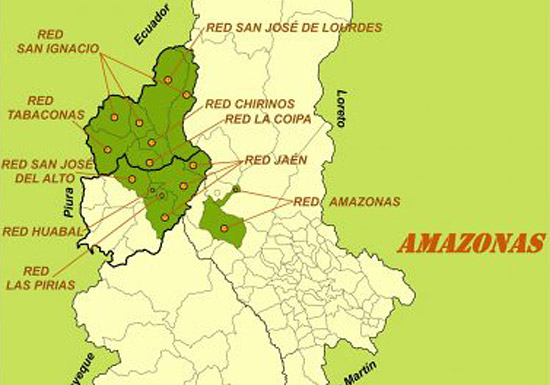 Peru Queromarca Microlot