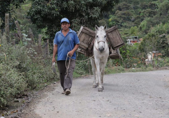 Colombia El Chupadero Fernando Martinez