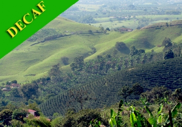 Colombia Supremo Swiss Water Decaf French Roast