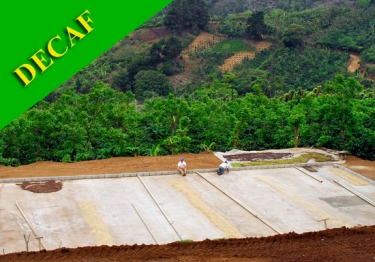 Costa Rica Swiss Water Decaf