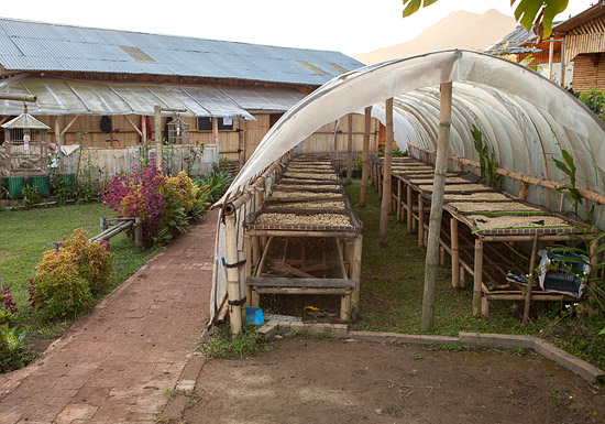 Sumatra Mandheling Fair Trade Organic